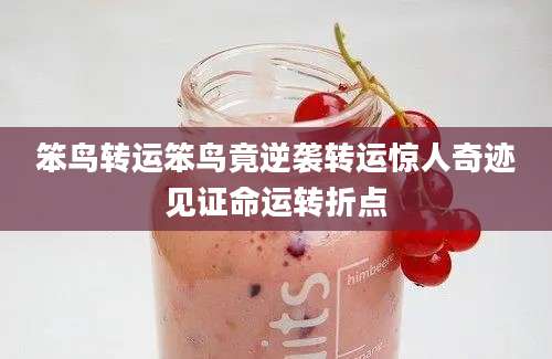 笨鸟转运笨鸟竟逆袭转运惊人奇迹见证命运转折点