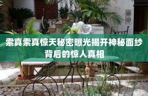索真索真惊天秘密曝光揭开神秘面纱背后的惊人真相