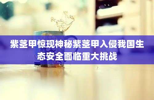 紫茎甲惊现神秘紫茎甲入侵我国生态安全面临重大挑战