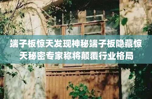 端子板惊天发现神秘端子板隐藏惊天秘密专家称将颠覆行业格局