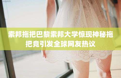 索邦拖把巴黎索邦大学惊现神秘拖把竟引发全球网友热议