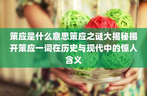 策应是什么意思策应之谜大揭秘揭开策应一词在历史与现代中的惊人含义