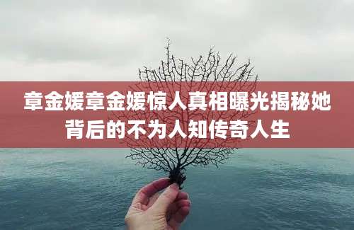 章金媛章金媛惊人真相曝光揭秘她背后的不为人知传奇人生