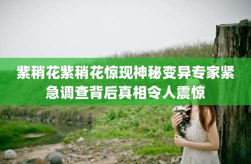 紫稍花紫稍花惊现神秘变异专家紧急调查背后真相令人震惊