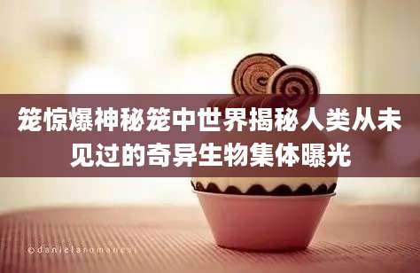 笼惊爆神秘笼中世界揭秘人类从未见过的奇异生物集体曝光