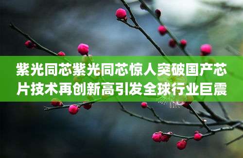 紫光同芯紫光同芯惊人突破国产芯片技术再创新高引发全球行业巨震