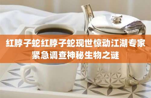 红脖子蛇红脖子蛇现世惊动江湖专家紧急调查神秘生物之谜