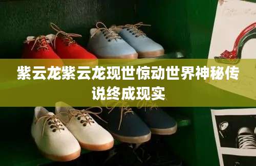紫云龙紫云龙现世惊动世界神秘传说终成现实