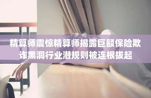 精算师震惊精算师揭露巨额保险欺诈黑洞行业潜规则被连根拔起