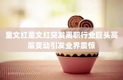 童文红童文红突发离职行业巨头高层变动引发业界震惊