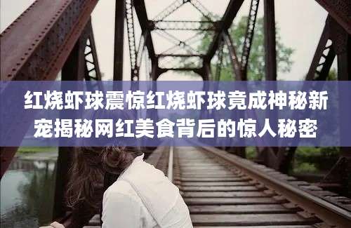 红烧虾球震惊红烧虾球竟成神秘新宠揭秘网红美食背后的惊人秘密