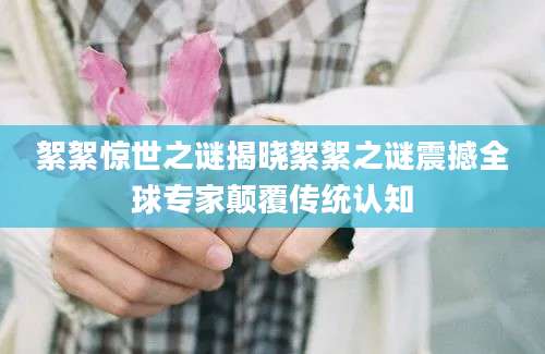絮絮惊世之谜揭晓絮絮之谜震撼全球专家颠覆传统认知