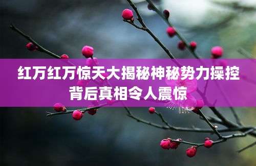 红万红万惊天大揭秘神秘势力操控背后真相令人震惊