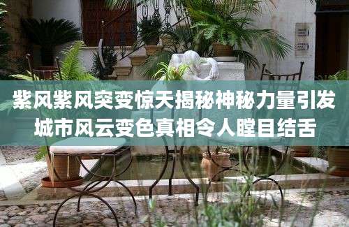 紫风紫风突变惊天揭秘神秘力量引发城市风云变色真相令人瞠目结舌