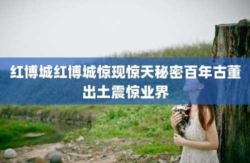 红博城红博城惊现惊天秘密百年古董出土震惊业界