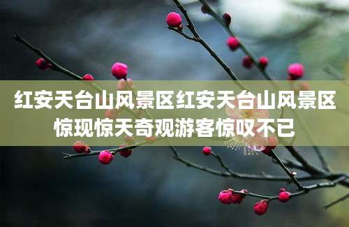 红安天台山风景区红安天台山风景区惊现惊天奇观游客惊叹不已
