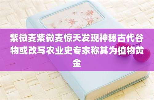 紫微麦紫微麦惊天发现神秘古代谷物或改写农业史专家称其为植物黄金