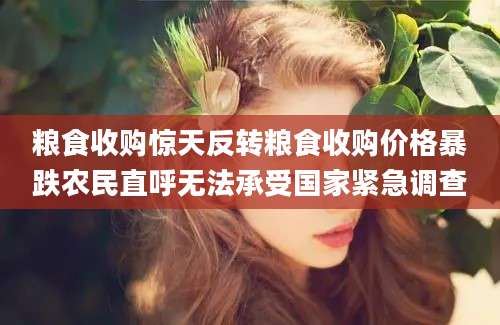 粮食收购惊天反转粮食收购价格暴跌农民直呼无法承受国家紧急调查