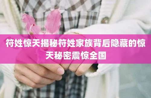 符姓惊天揭秘符姓家族背后隐藏的惊天秘密震惊全国