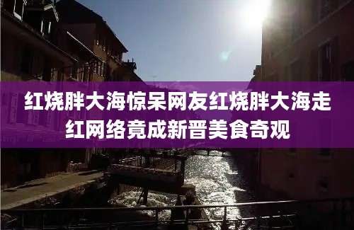 红烧胖大海惊呆网友红烧胖大海走红网络竟成新晋美食奇观