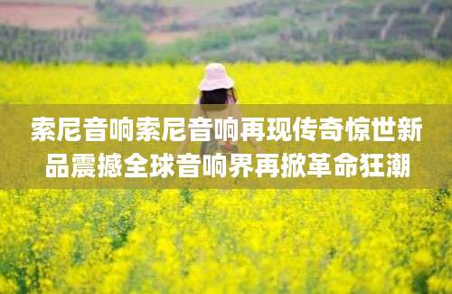 索尼音响索尼音响再现传奇惊世新品震撼全球音响界再掀革命狂潮