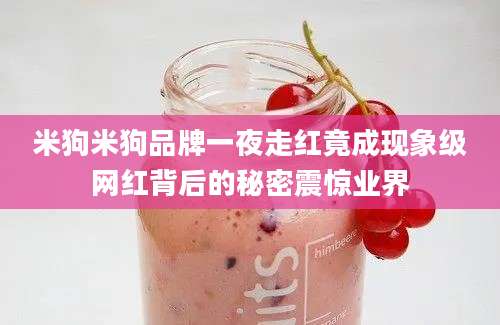 米狗米狗品牌一夜走红竟成现象级网红背后的秘密震惊业界