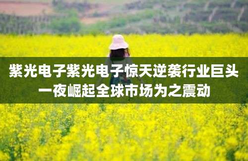 紫光电子紫光电子惊天逆袭行业巨头一夜崛起全球市场为之震动