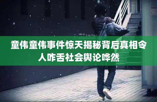 童伟童伟事件惊天揭秘背后真相令人咋舌社会舆论哗然