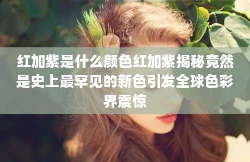 红加紫是什么颜色红加紫揭秘竟然是史上最罕见的新色引发全球色彩界震惊