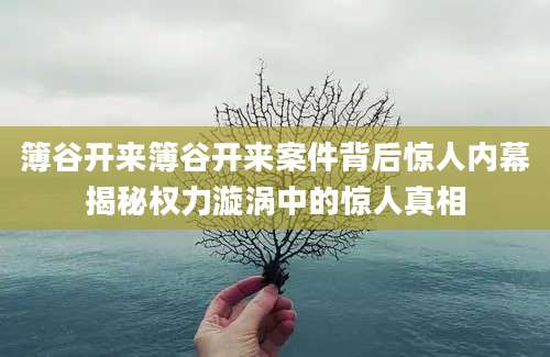 簿谷开来簿谷开来案件背后惊人内幕揭秘权力漩涡中的惊人真相