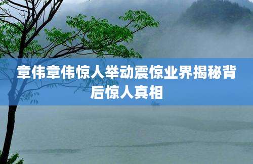 章伟章伟惊人举动震惊业界揭秘背后惊人真相