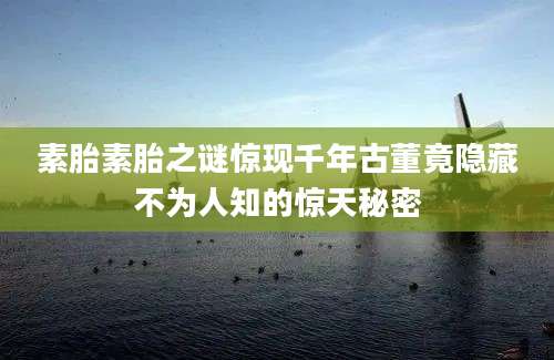 素胎素胎之谜惊现千年古董竟隐藏不为人知的惊天秘密