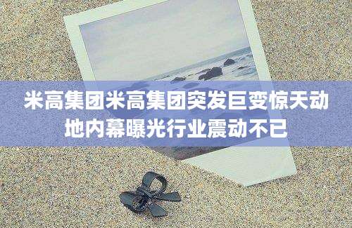米高集团米高集团突发巨变惊天动地内幕曝光行业震动不已