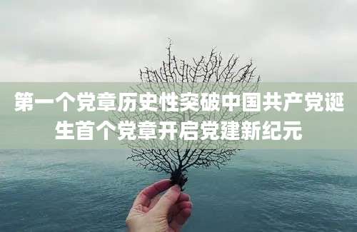 第一个党章历史性突破中国共产党诞生首个党章开启党建新纪元