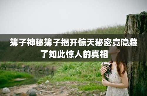 簿子神秘簿子揭开惊天秘密竟隐藏了如此惊人的真相