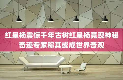红星杨震惊千年古树红星杨竟现神秘奇迹专家称其或成世界奇观