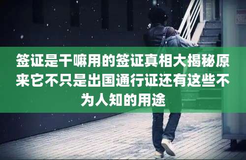 签证是干嘛用的签证真相大揭秘原来它不只是出国通行证还有这些不为人知的用途