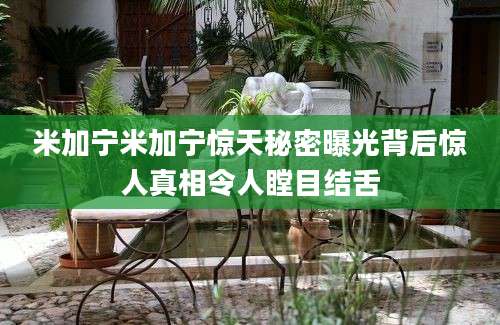 米加宁米加宁惊天秘密曝光背后惊人真相令人瞠目结舌