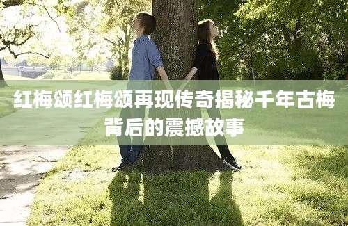 红梅颂红梅颂再现传奇揭秘千年古梅背后的震撼故事