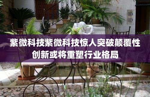 紫微科技紫微科技惊人突破颠覆性创新或将重塑行业格局