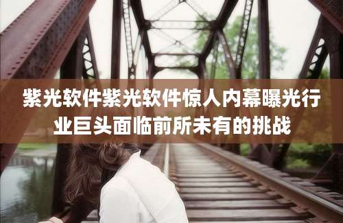 紫光软件紫光软件惊人内幕曝光行业巨头面临前所未有的挑战
