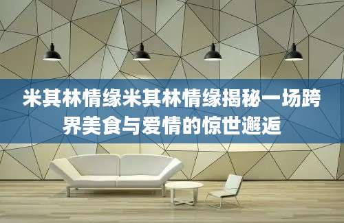 米其林情缘米其林情缘揭秘一场跨界美食与爱情的惊世邂逅