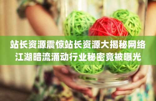 站长资源震惊站长资源大揭秘网络江湖暗流涌动行业秘密竟被曝光