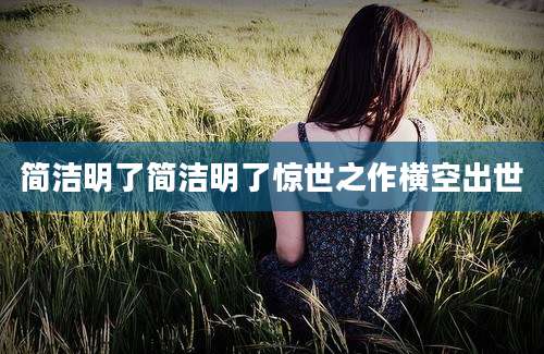 简洁明了简洁明了惊世之作横空出世