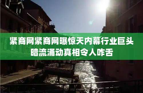紧商网紧商网曝惊天内幕行业巨头暗流涌动真相令人咋舌