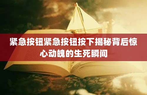 紧急按钮紧急按钮按下揭秘背后惊心动魄的生死瞬间