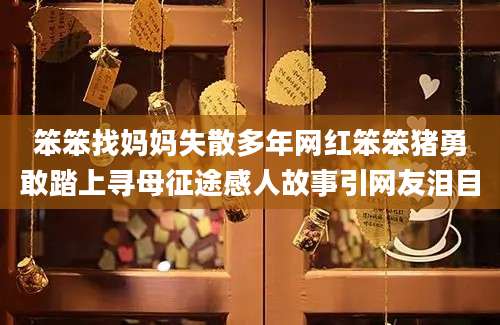 笨笨找妈妈失散多年网红笨笨猪勇敢踏上寻母征途感人故事引网友泪目