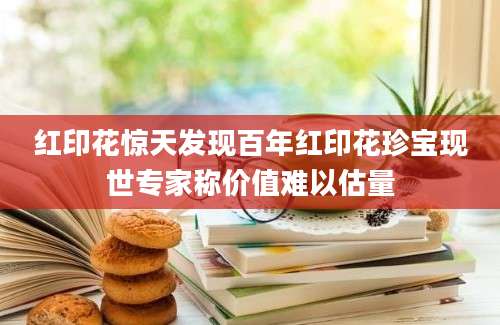 红印花惊天发现百年红印花珍宝现世专家称价值难以估量