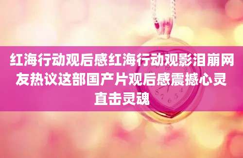 红海行动观后感红海行动观影泪崩网友热议这部国产片观后感震撼心灵直击灵魂