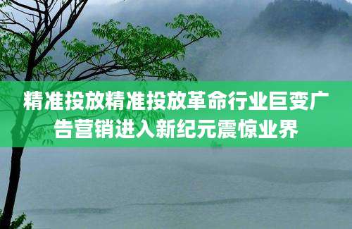 精准投放精准投放革命行业巨变广告营销进入新纪元震惊业界